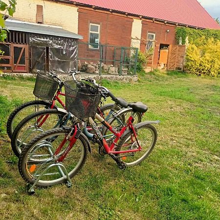 Malinowy Gaj - Agroturystyka Z Alpakami I Innymi Zwierzetami Swietajno  Ngoại thất bức ảnh