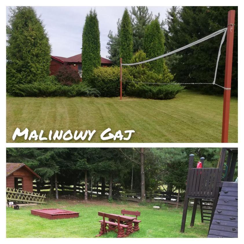 Malinowy Gaj - Agroturystyka Z Alpakami I Innymi Zwierzetami Swietajno  Ngoại thất bức ảnh