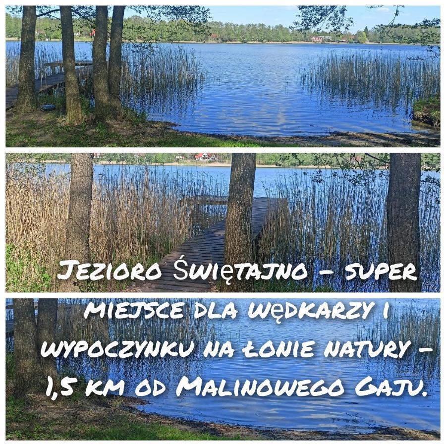 Malinowy Gaj - Agroturystyka Z Alpakami I Innymi Zwierzetami Swietajno  Ngoại thất bức ảnh