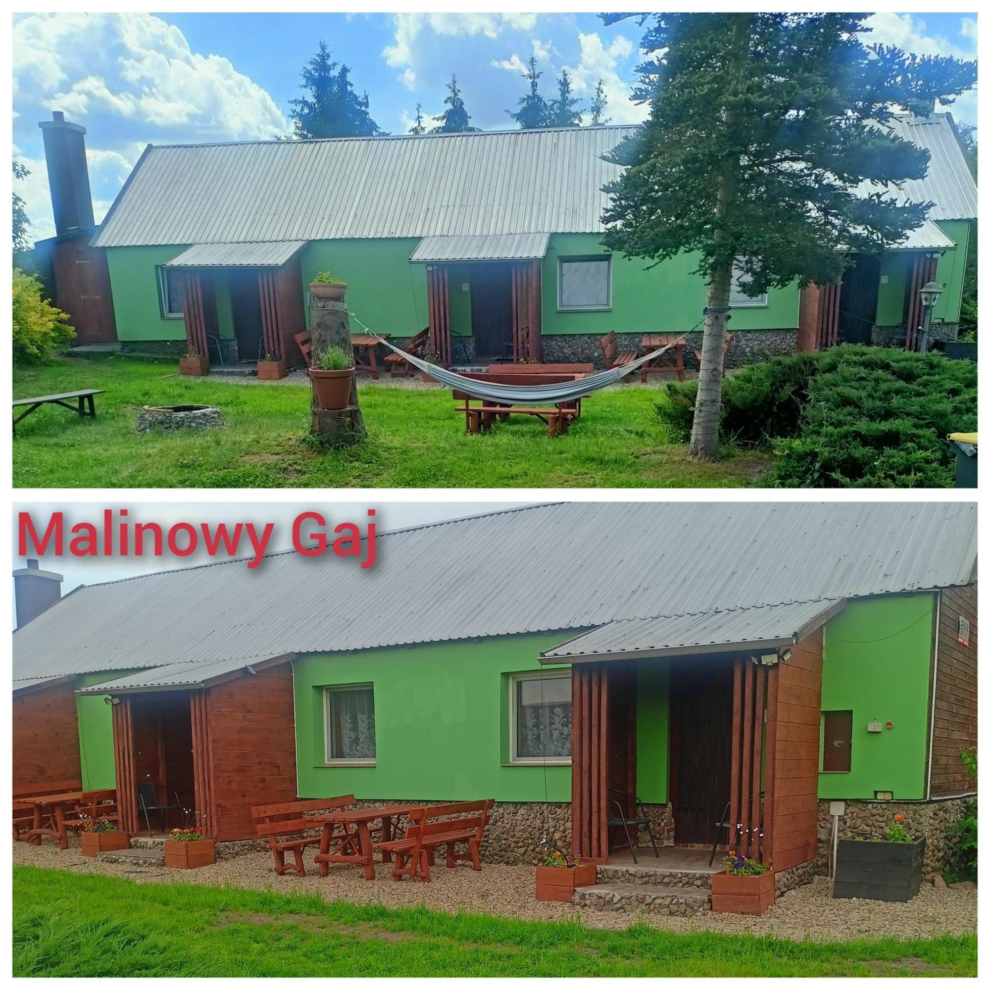 Malinowy Gaj - Agroturystyka Z Alpakami I Innymi Zwierzetami Swietajno  Ngoại thất bức ảnh