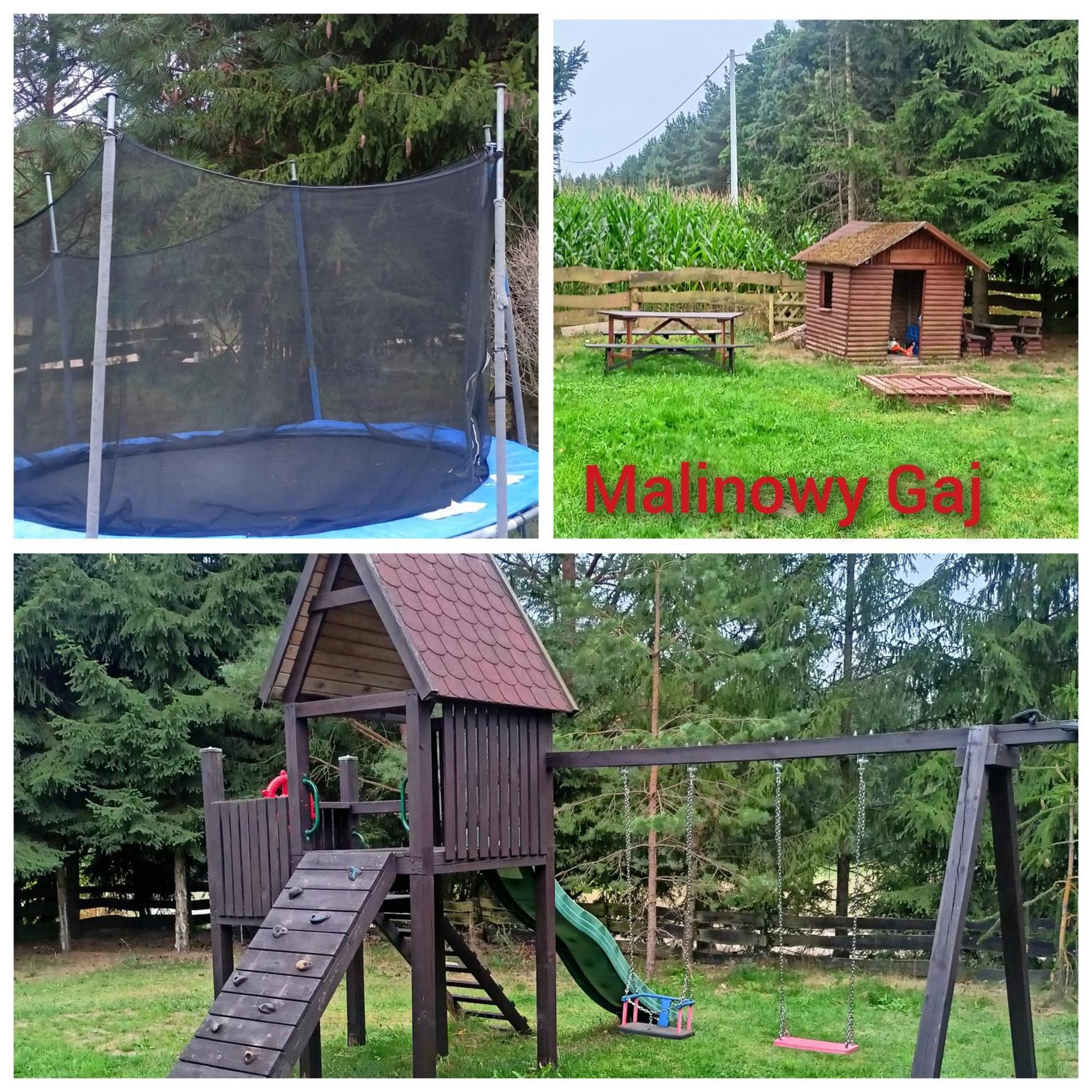 Malinowy Gaj - Agroturystyka Z Alpakami I Innymi Zwierzetami Swietajno  Ngoại thất bức ảnh