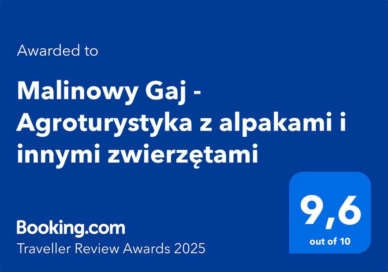 Malinowy Gaj - Agroturystyka Z Alpakami I Innymi Zwierzetami Swietajno  Ngoại thất bức ảnh