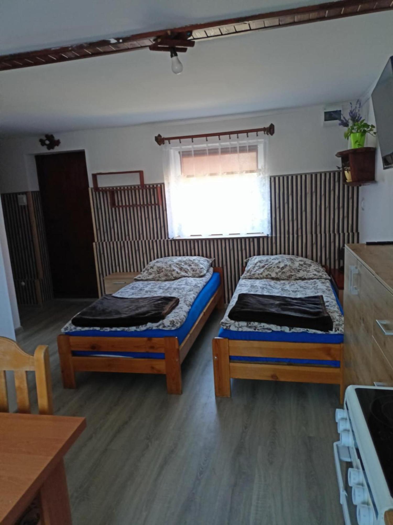 Malinowy Gaj - Agroturystyka Z Alpakami I Innymi Zwierzetami Swietajno  Ngoại thất bức ảnh