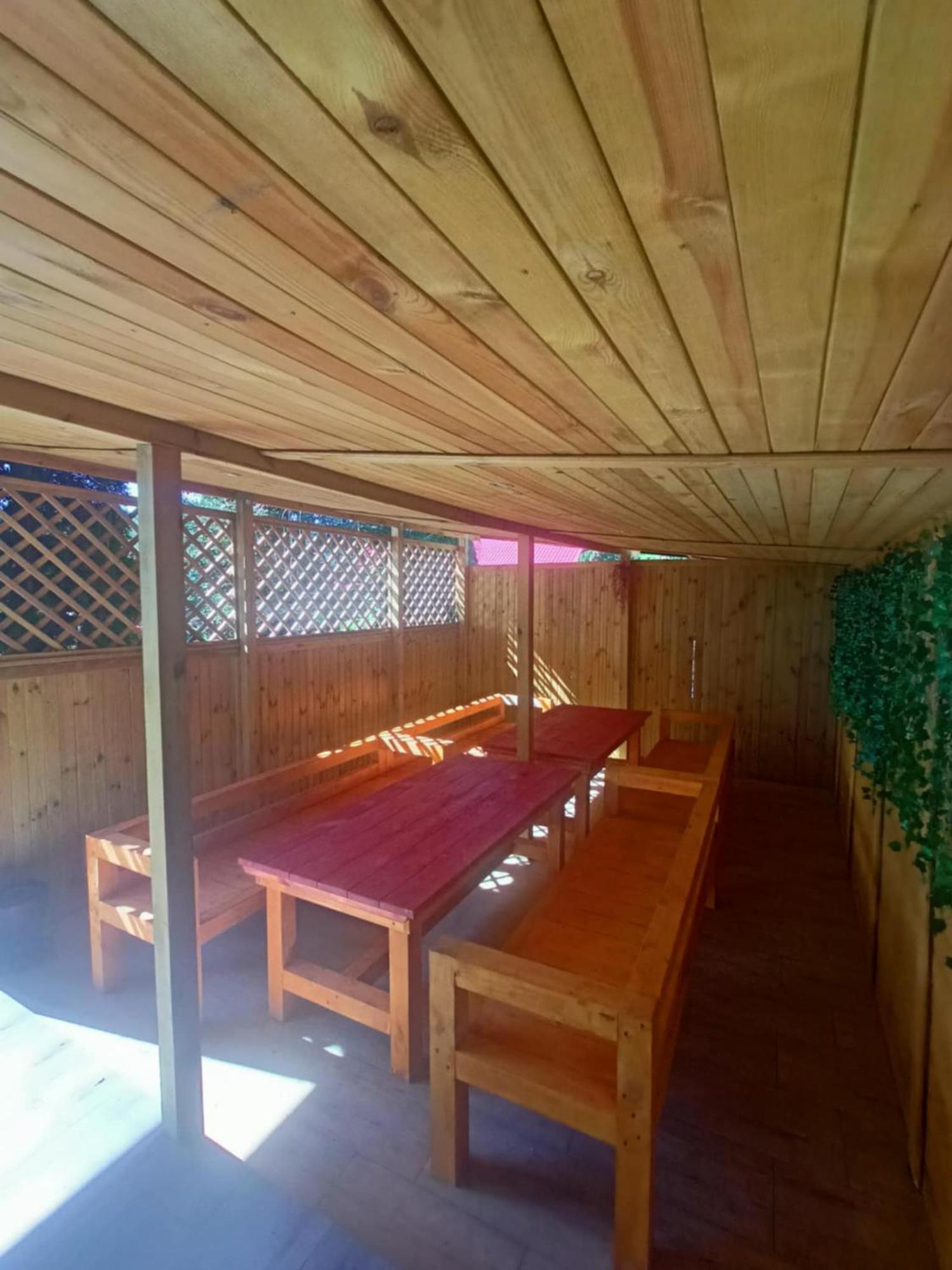 Malinowy Gaj - Agroturystyka Z Alpakami I Innymi Zwierzetami Swietajno  Ngoại thất bức ảnh